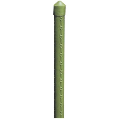 Tutore sostegno cannetta in bamboo plastificato per giardino 18-20 mm 1,80 mt piante ortaggi