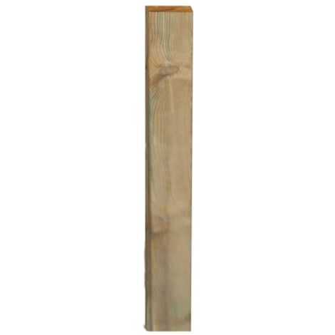 Palo in pino essiccato impregnato in autoclave 2x9x300h cm – Resistente agli agenti atmosferici – Per recinzioni e strutture esterne – I Giardini Del Re (1/3)