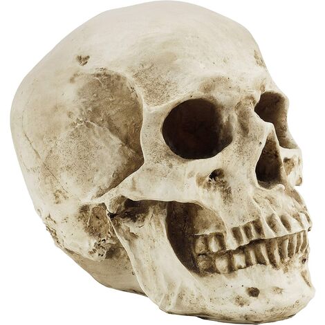Cráneo Humano Calavera Réplica Figura Decorativa Natural Realista Calavera 