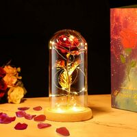La Bella Y La Bestia Rose En Vidrio cúpula luces LED eterno Seda encantado 