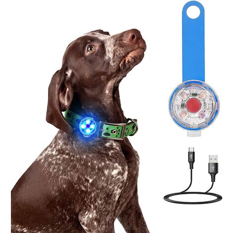 profundidad Estallar Pegajoso Luz LED para collar de perro y gato, luz LED colgante para perro recargable  por USB,
