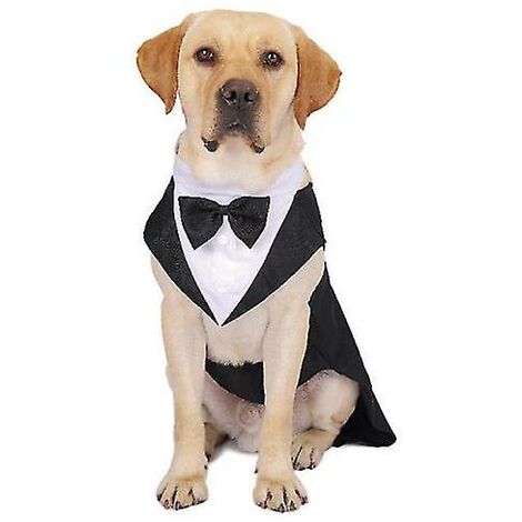 En expansión sutil ético Traje de boda para mascotas vestido de perro grande pajarita creativa ropa  de caballero-S