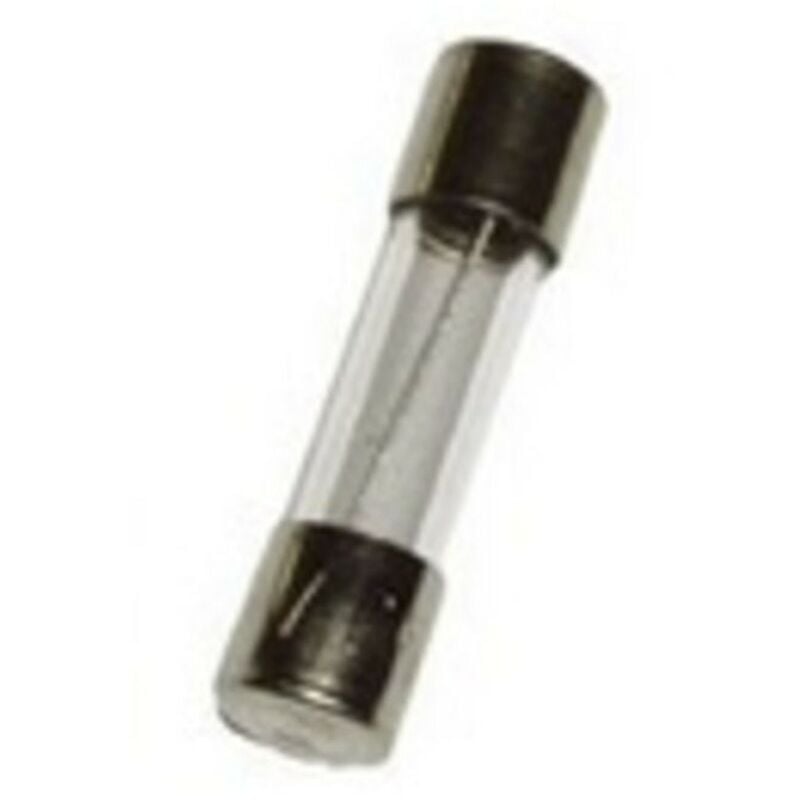 Lot De 10 Fusibles Temporisés 1,25 A 5 X 20 Mm 250 V Type 522 Fusible En Verre