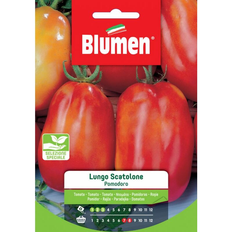 Blumen. Semi di Pomodoro Lungo Scatolone