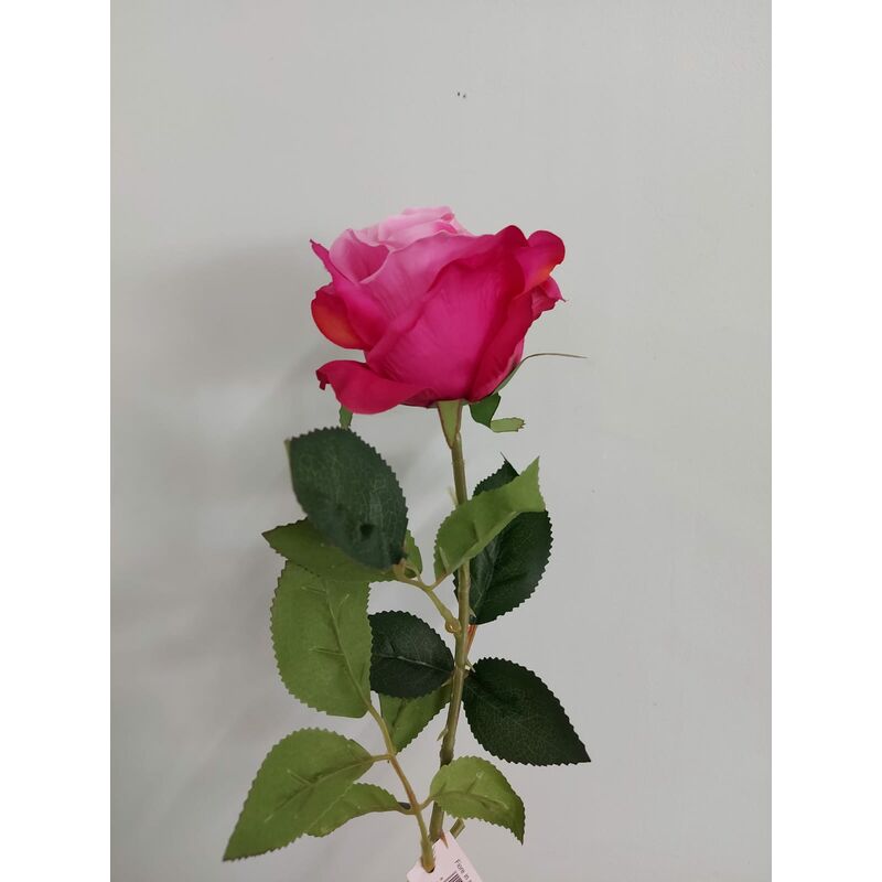 Rosa Laura 78cm Fucsia