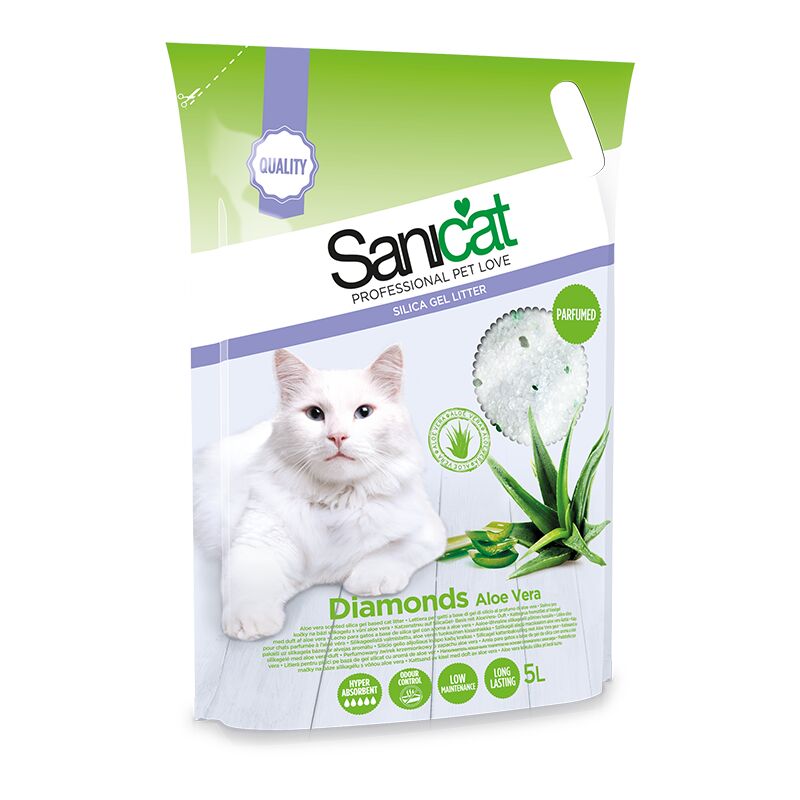 Sanicat silica 2024