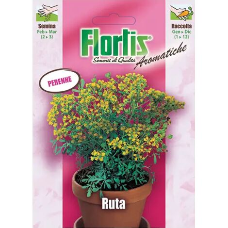 FLORTIS Ruta