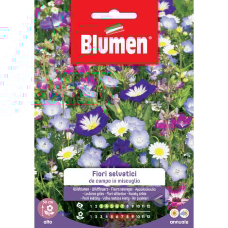 Semi di fiori selvatici da campo