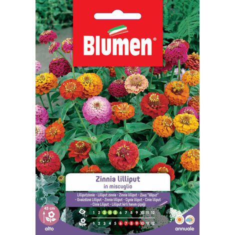SEMI ZINNIA THUMBELINA NANA DA BORDURA IN MISCUGLIO BLUMEN