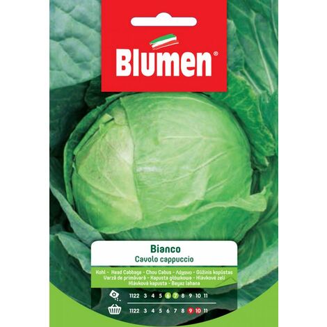 Blumen Semi di Cavolo Cappuccio Bianco