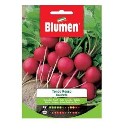 Semi Blumen ravanello tondo rosso