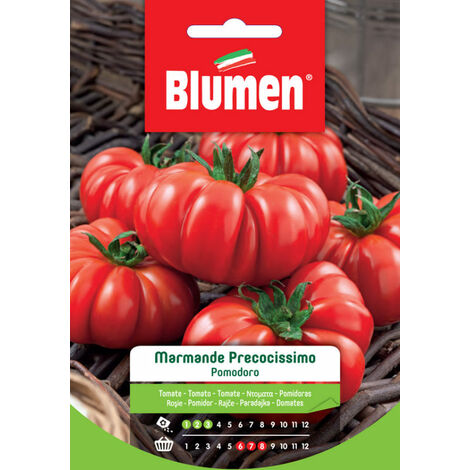 SEMI DI POMODORO MARMANDE PRECOCISSIMO BLUMEN