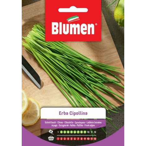 Set Di Semi Per Coltivazione Mista: Fragole, Cipolle Ed Erba Cipollina – 5 Bustine – Vicinato Perfetto Nell’Orto