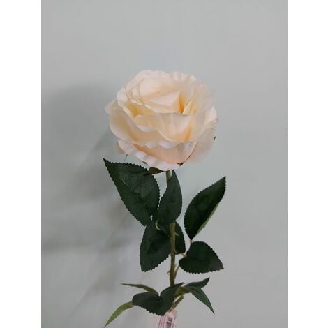 Rosa Laura 78cm Cream