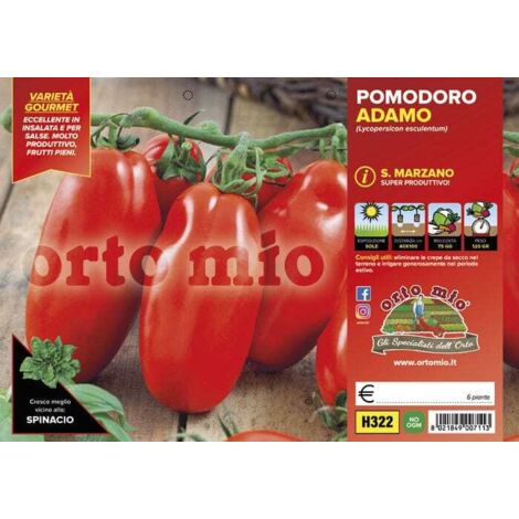 ORTO MIO Pomodoro San Marzano Adamo