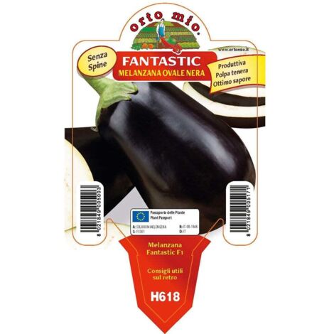 ORTO MIO Melanzana Tonda Ovale Nera Fantastic