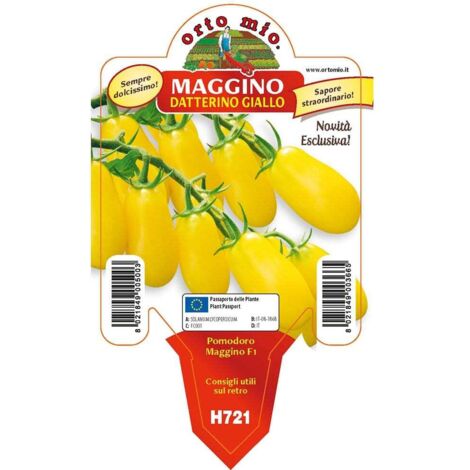 Semi Di POMODORO INDETERMINATO VICERÈ F1* (TCY 2917) - Sementi Di VICERÈ F1* (TCY 2917 - Foto 2