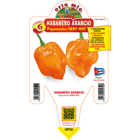 ORTO MIO Peperoncino Very Hot Habanero Arancione