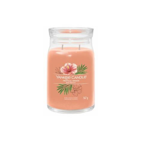 Yankee Candle Signature Candela Profumata, Pesca Fresca di