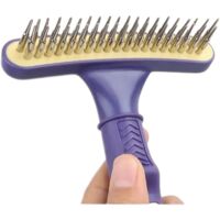 Rastrello Due File 20 Denti Conici Rotanti Manico Antislip
