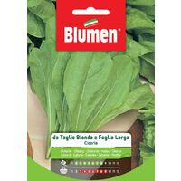 Blumen. Semi di Cicoria da Taglio Bionda a Foglia Larga