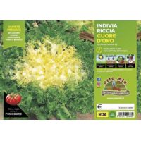 ORTO MIO Indivia Riccia a Cuore D'Oro var. Cigal-Mirna