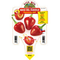 ORTO MIO Peperoncino Hot Naso del Diavolo Pancho