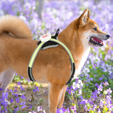 Collier De Poitrine LED Pour Cheval - Réglable, Visible De Nuit, 3 Couleurs (rouge, Vert, Bleu)