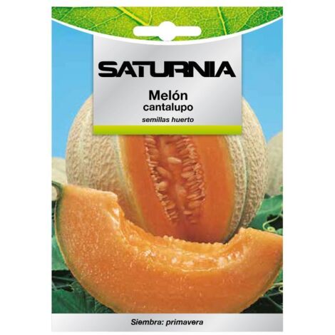 Semillas Melon Cantalupo (3 gramos) Semillas Frutas, Horticultura, Horticola, Semillas Huerto. (1/2)