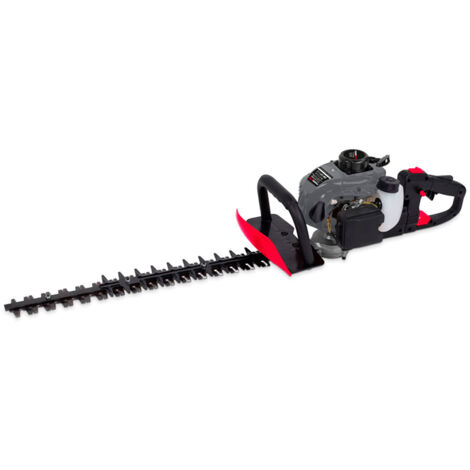 Cortasetos gasolina 22.5cc espada 60cm poweg3010 powerplus (1/5)