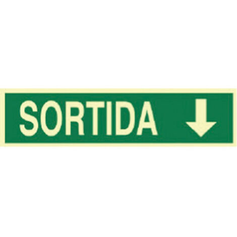 Señal luminiscente 400x100mm con diseño de salida y alta visibilidad.