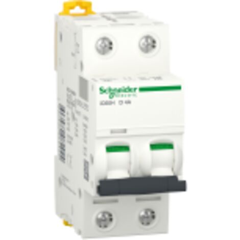 Disjoncteur iC60H 2P 4A D - A9F85204 (1/2)