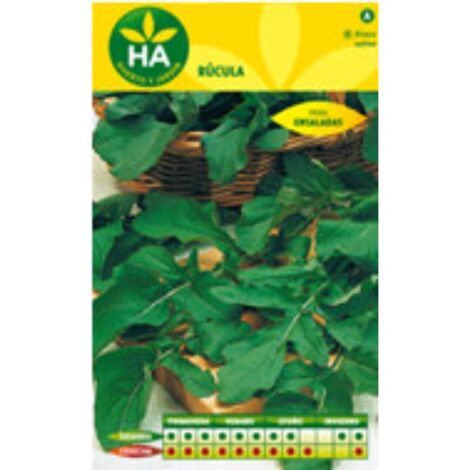 Sobre de semillas de rúcula - cultivo fácil y rápido