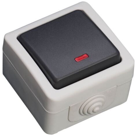 Conmutador con luminoso estanco IP44 GSC 1200867 (1/2)