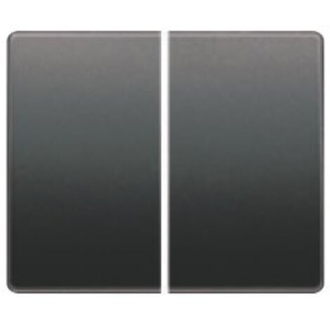 Tecla doble interruptor o conmutador antracita cosso BJC Mega 22709-AC