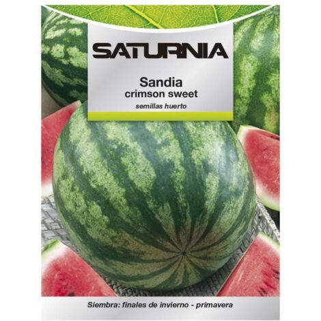 SATURNIA semillas huerto sandia , Semillas huerto sandia- Variedad que produce grandes sandías redondas, con la piel estriada de color verde oscuro y con una deliciosa pulpa