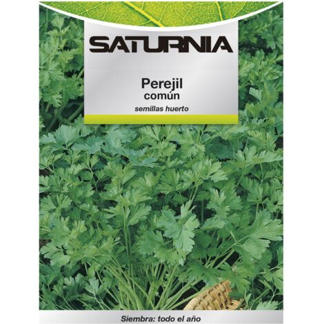semillas perejil comun (8 gramos) semillas verduras, horticultura, horticola, semillas huerto.