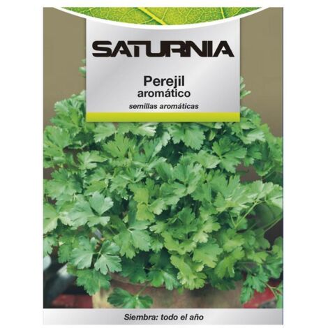 SATURNIA Semillas Aromaticas Perejil Aromatico (8 Gramos) Horticultura, Horticola, Semillas Huerto.