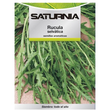 semillas aromaticas rucula selvatica (2.5 gramos) horticultura, horticola, semillas huerto.