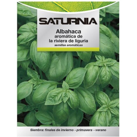 Semillas Aromáticas Albahaca Aromatica (5 gramos) Horticultura, Horticola, Semillas Huerto.