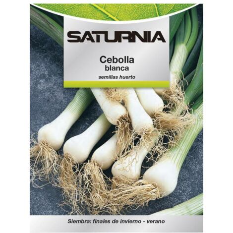 Semillas Cebolla Blanca (4 gramos) (1/2)