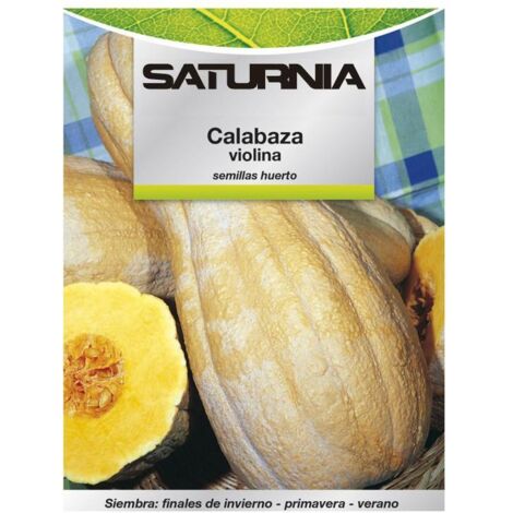 Semillas Huerto Calabaza Violina (1/2)