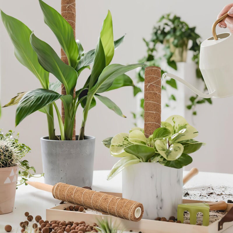 FIYADWZH 4 Poteaux En Mousse Pour Plantes Grimpantes, Peuvent être Combinés Et épissés Pour Former Un