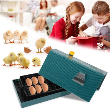Lot De 10 Œufs De Poule Artificiels Réalistes En Plastique Marron - Encourager La Ponte Et Décoration