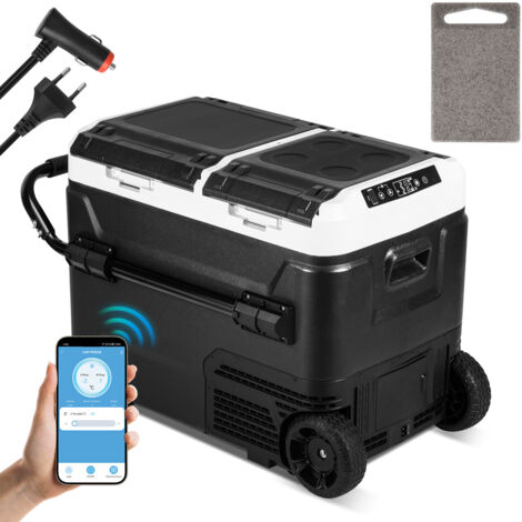 Mini Frigo Voiture 12V/220V - Compresseur - Moins De 5 Litres - Portable Pour Camping Ou Bureau