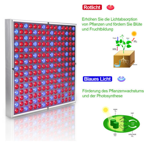 Lampe LED 45W Pour Plantes - 225 LEDs Rouge & Bleu, Pour Culture Intérieure, Serre, Hydroponie