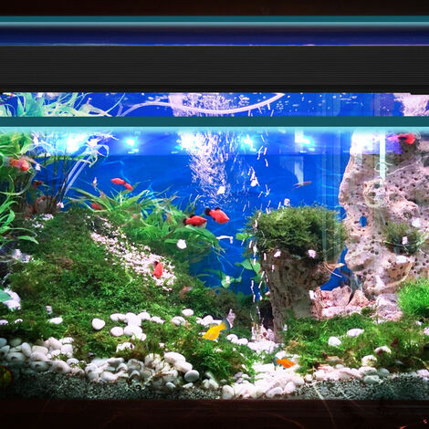 Randaco Blu bianco LED acquario luce pesce pianta lampada, 35-50cm, 10W