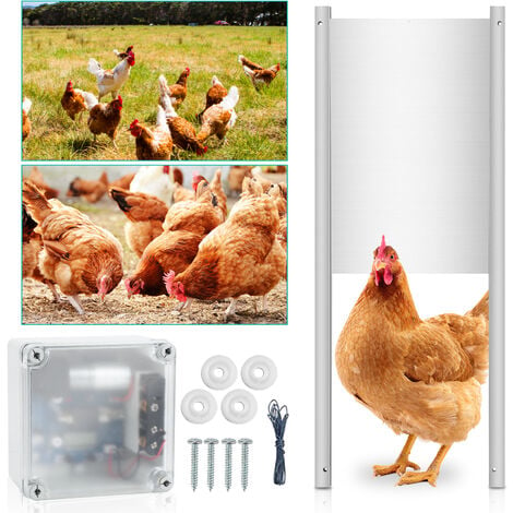 Randaco Porta automatica del pollaio - Sensore di luce -- Multi-mode -  Plastica ecologica