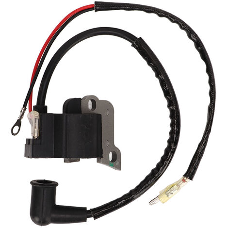 CDI Module Ignition Coil Assembly for 49cc 4Stroke Engines Motor ...