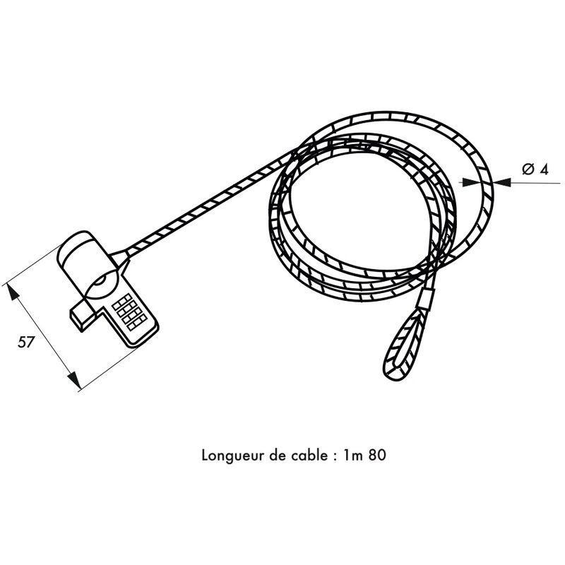 Cavo di Sicurezza in Acciaio con Lucchetto per Notebook e due